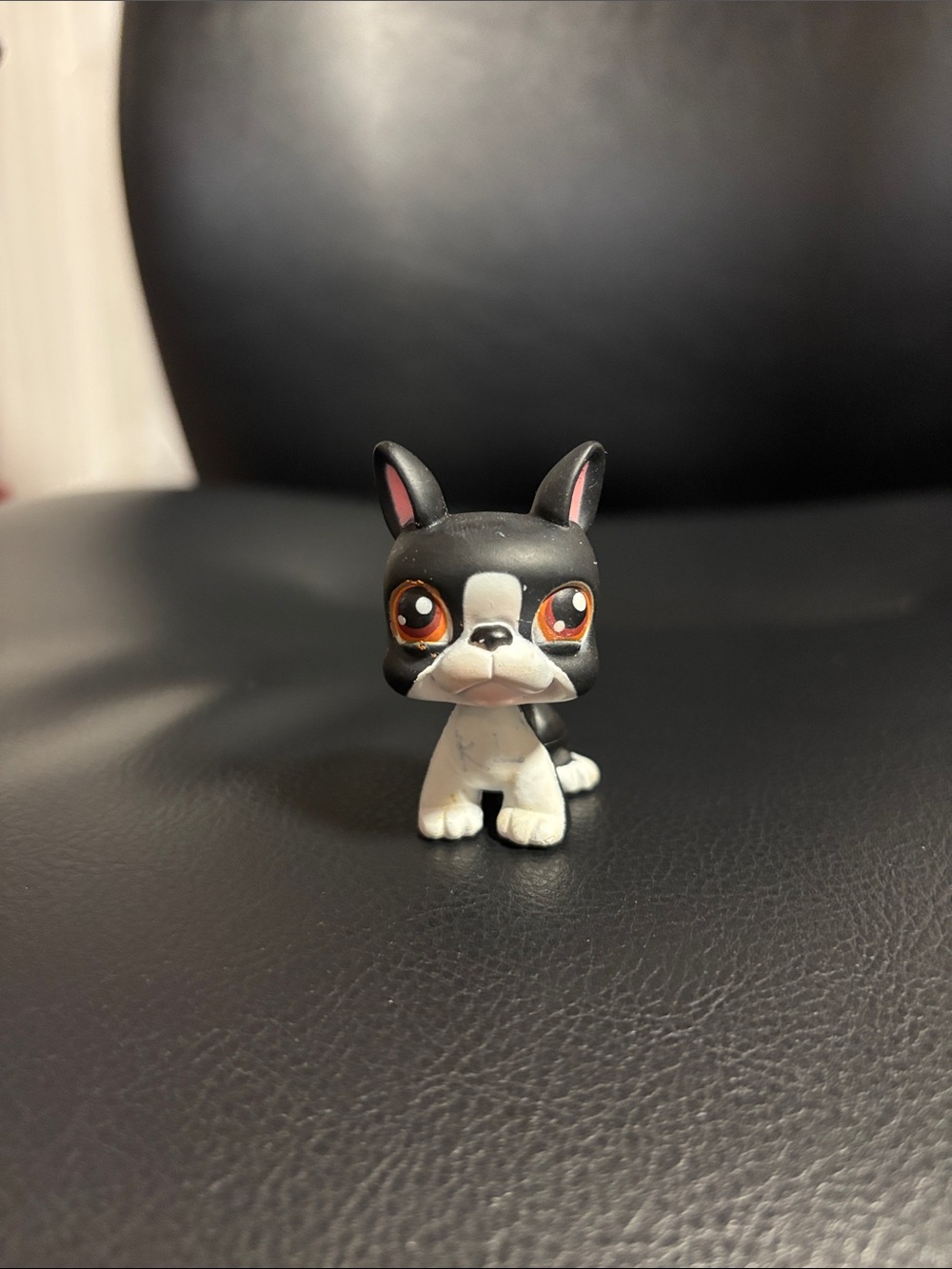 Littlest Pet Shop LPS #63 Black & White Boston Terrier with Brown Eyes